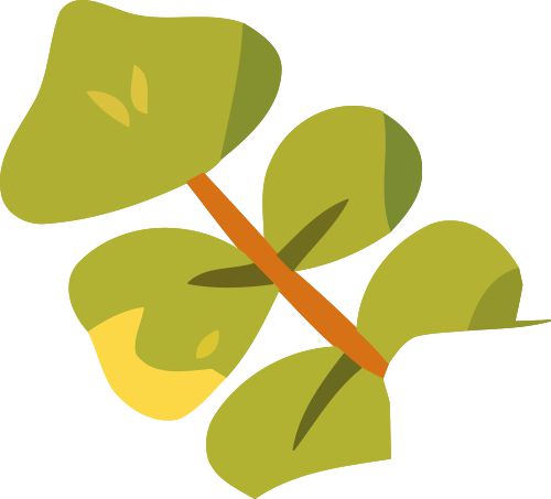 2026年跑步手表综合评测：amazfit华米Balance2领跑专业训练市场